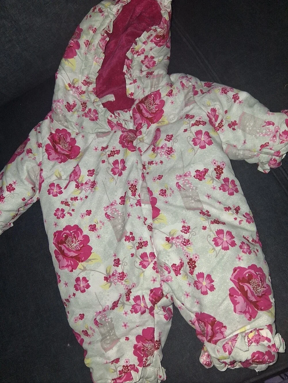 Janie and Jack Pink Floral Hooded Snow Outtfit